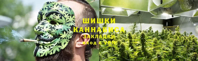 Каннабис SATIVA & INDICA  Горно-Алтайск 